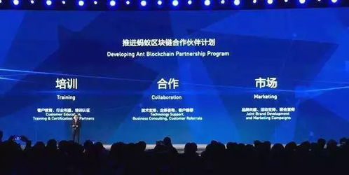 世界互联网大会靓点纷呈 15项领先黑科技照亮未来